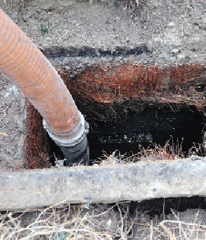 Grease Trap Pumping in Brandon, Florida