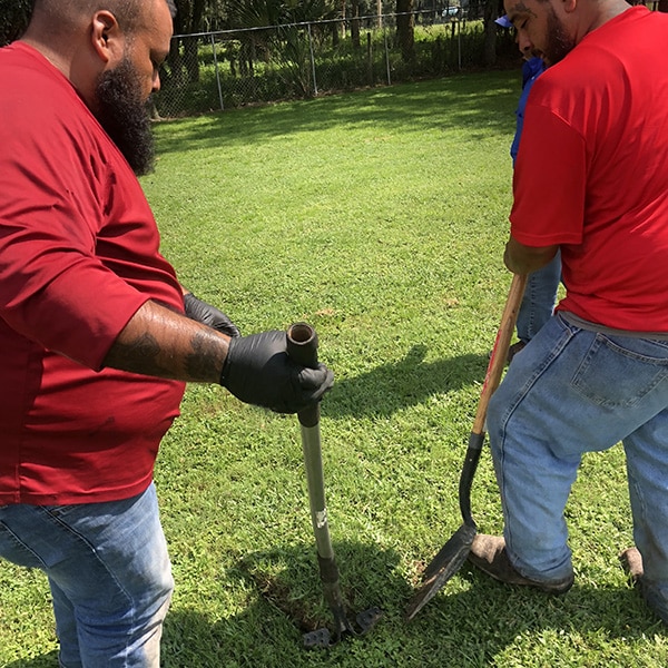 drain field damaged in Brandon FL