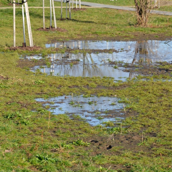 drain field problems in Seffner FL